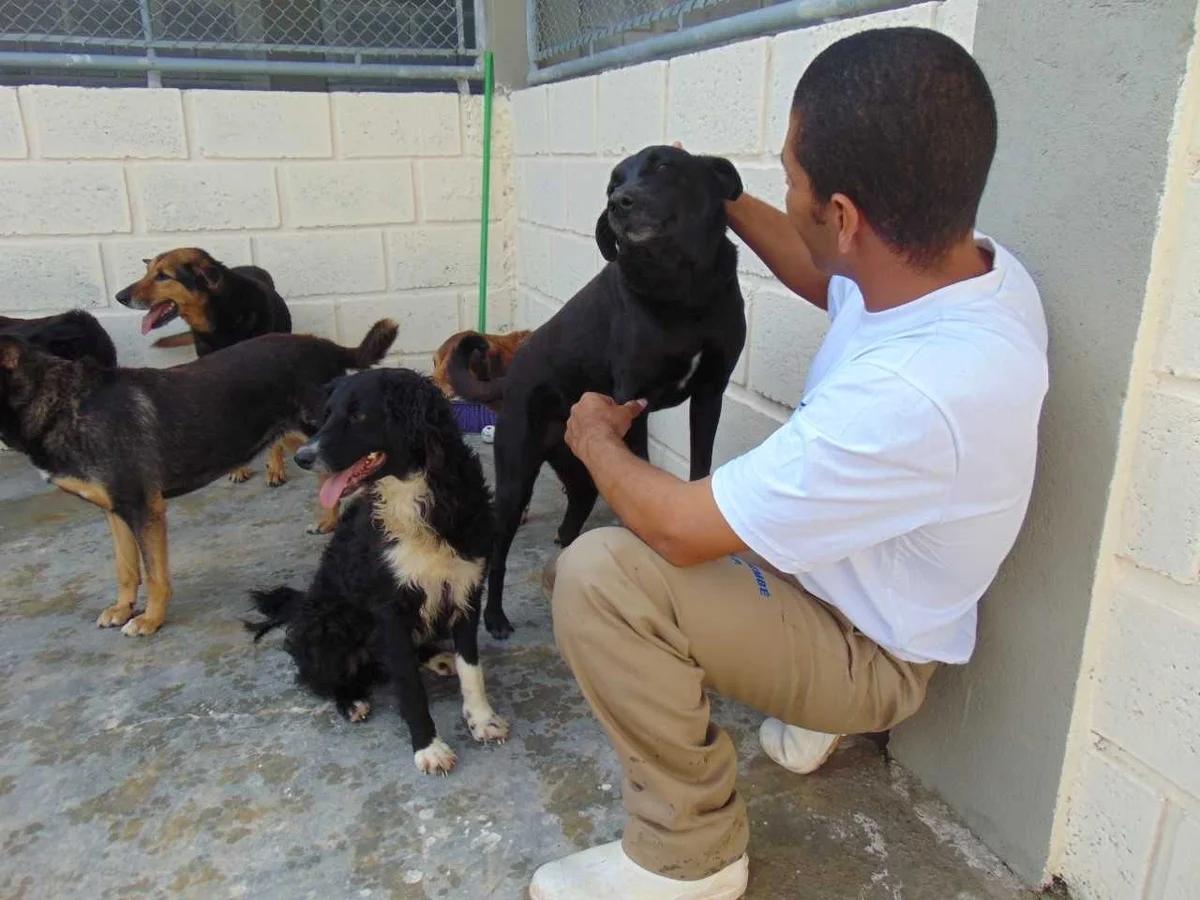 Ieda Chaves propõe criação de canis e gatis em presídios de Rondônia para ressocializar detentos