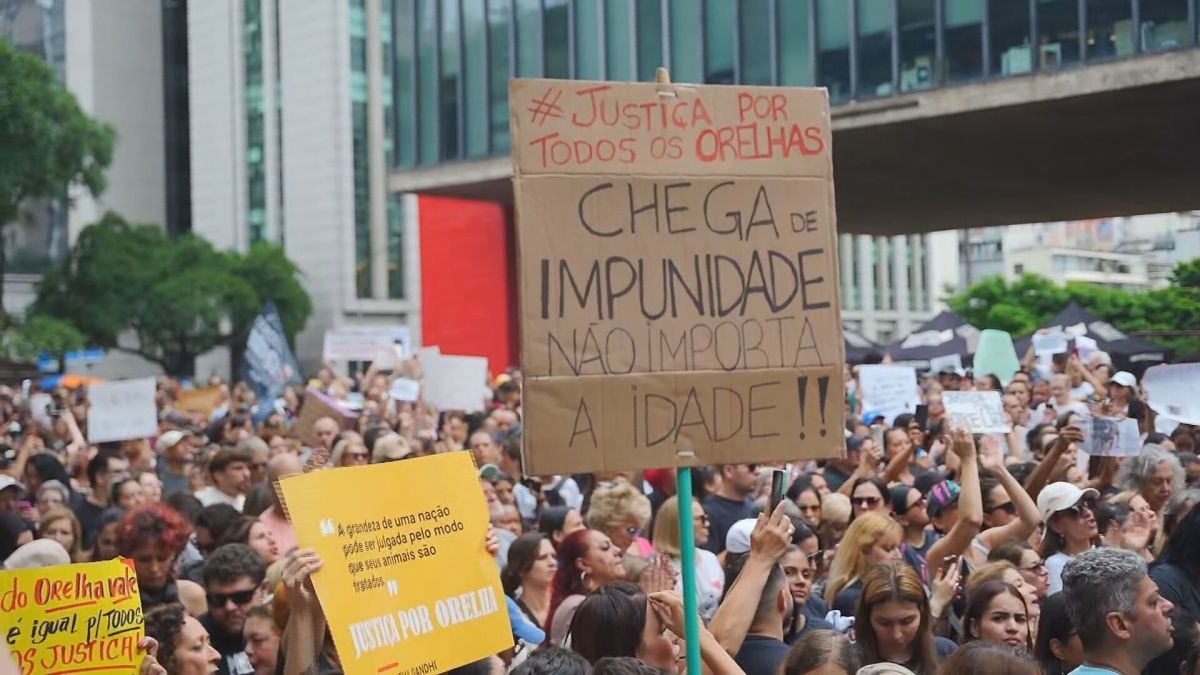 Morte do cão Orelha mobiliza manifestantes em protestos neste domingo (1º)