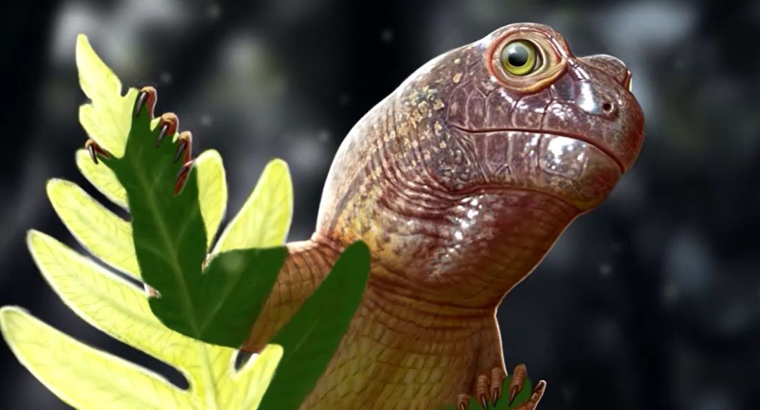 Pequeno fóssil de pararréptil revela segredos do ecossistema pré-dinossauro