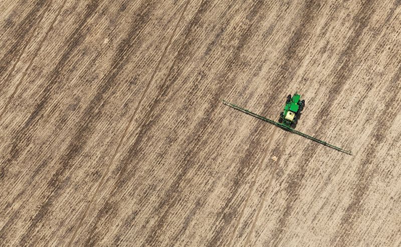 Preço das terras rurais varia de R$ 50 mil a R$ 250 mil por hectare
