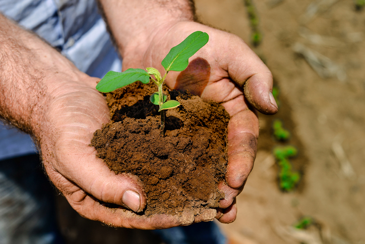 Uso do FGO vai sustentar crédito rural em meio à alta inadimplência no agro