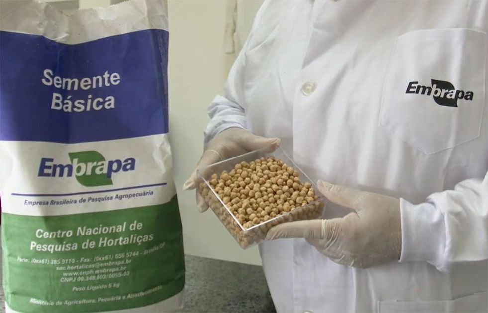 Brasil na Lua: comida lunar pode ser projetada pela Embrapa