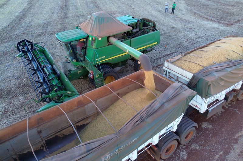 Cepea: negócios com soja brasileira são limitados por exigência sanitária