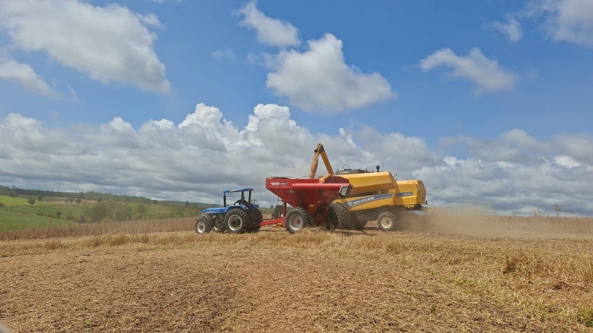 Colheita de soja entra na reta final em algumas regiões do Brasil