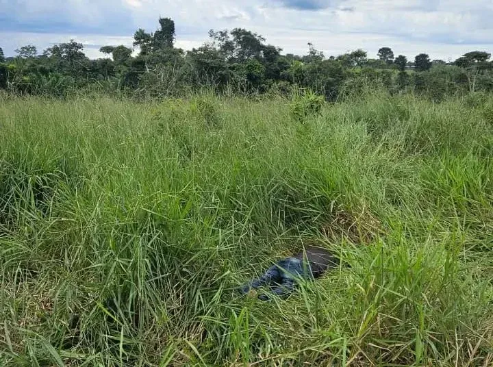 Corpo é encontrado em propriedade rural no interior de RO