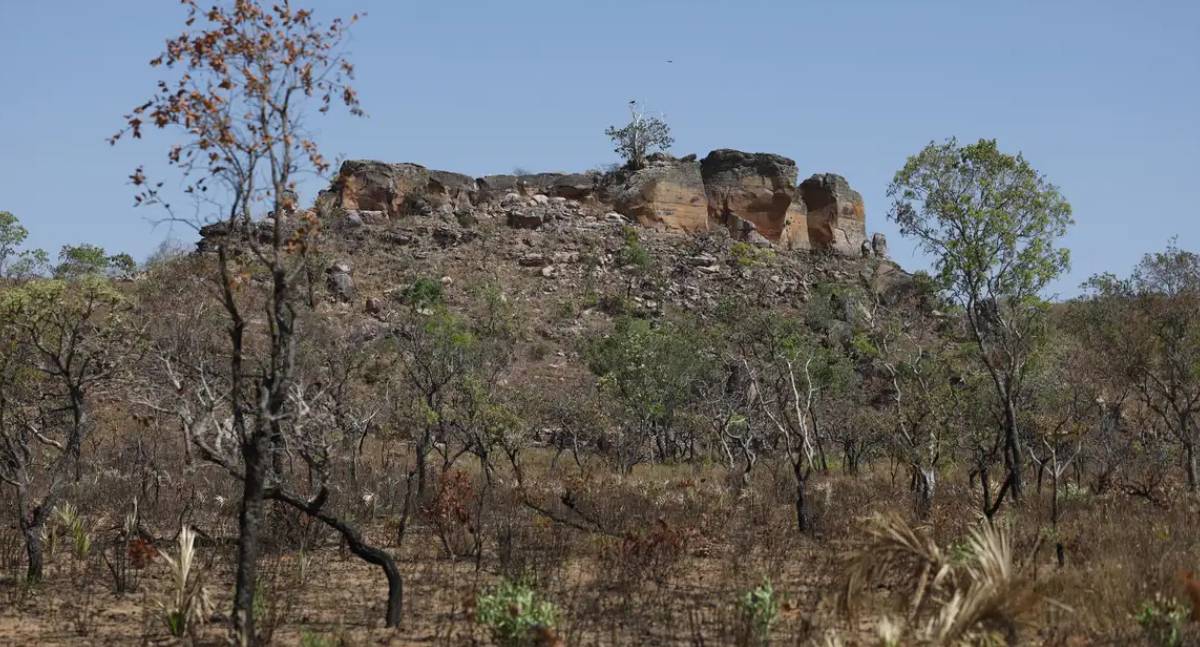 Inteligência artificial mapeia terras agrícolas abandonadas no Cerrado