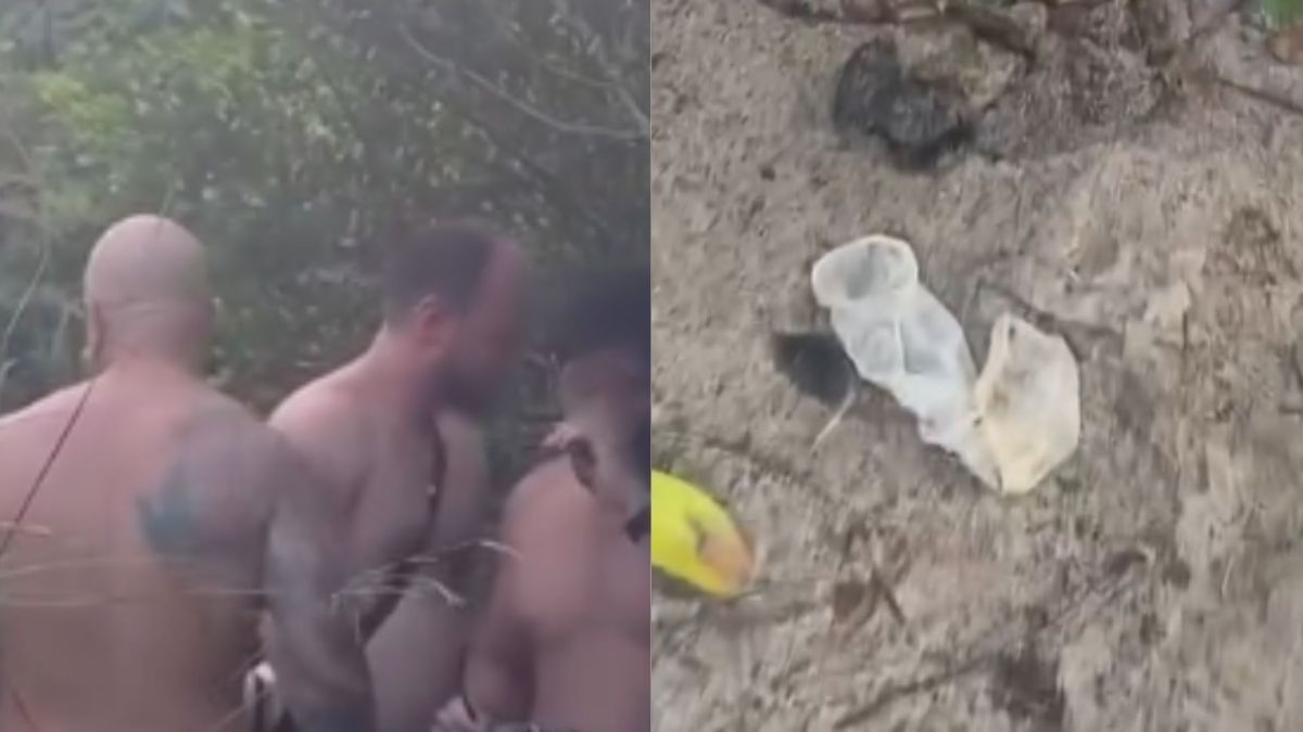 Orgias em série estão danificando trilhas de praia em Florianópolis