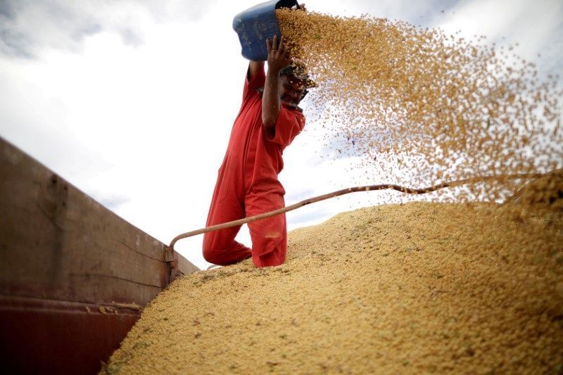 USDA reduz previsão da soja e aumenta produção global de milho