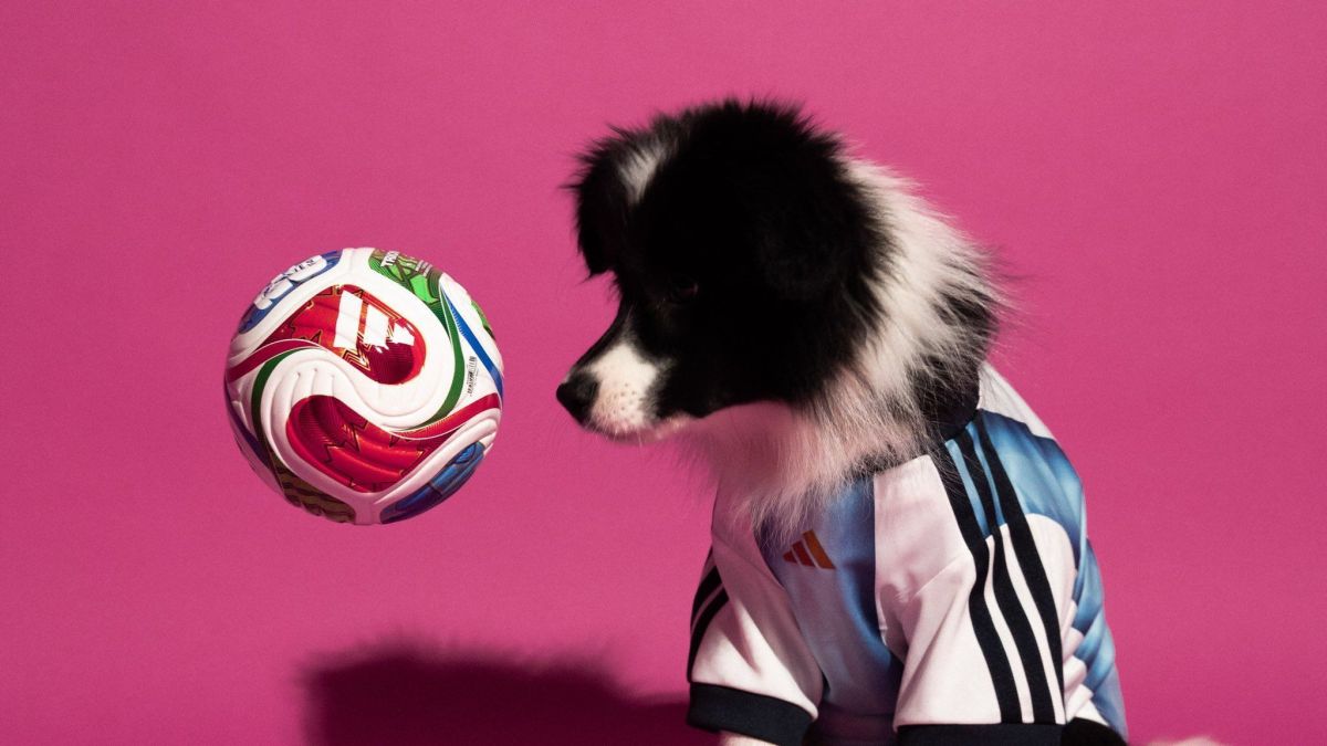 Adidas lança coleção especial de camisas da Copa 2026 para pets