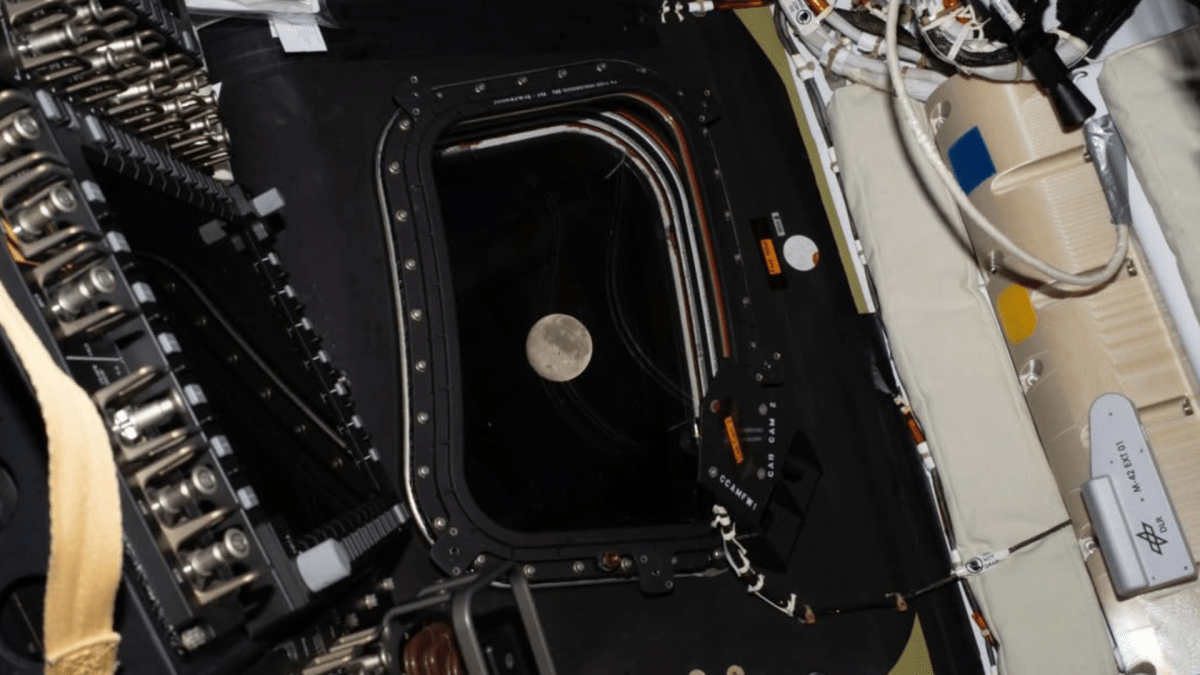 Artemis II: Netflix transmitirá chegada da missão à Lua nesta segunda (6)