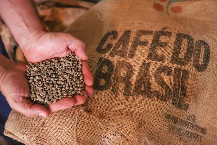 Café especial brasileiro pode gerar US$ 17,5 milhões na Austrália