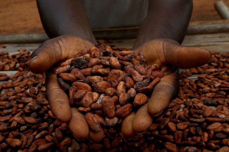 Com aumento na demanda, preços do cacau sobem 8,35% na bolsa de Nova York