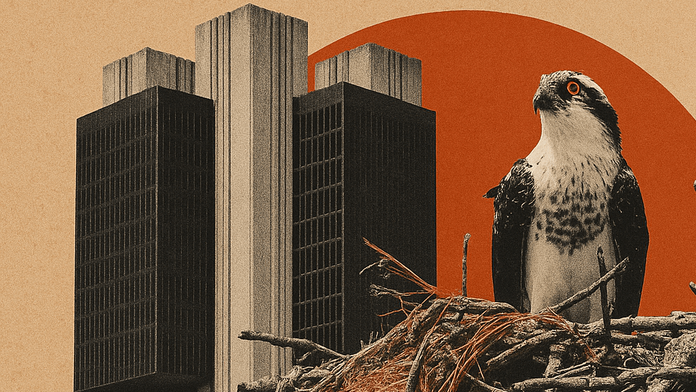 Contratos de Copom: 90% do mercado aposta em corte de 0,25 nesta quarta