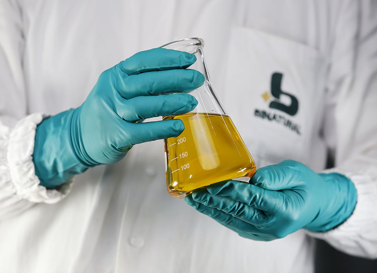 Há otimismo para grão e biodiesel em 2026, diz diretor da Caramuru