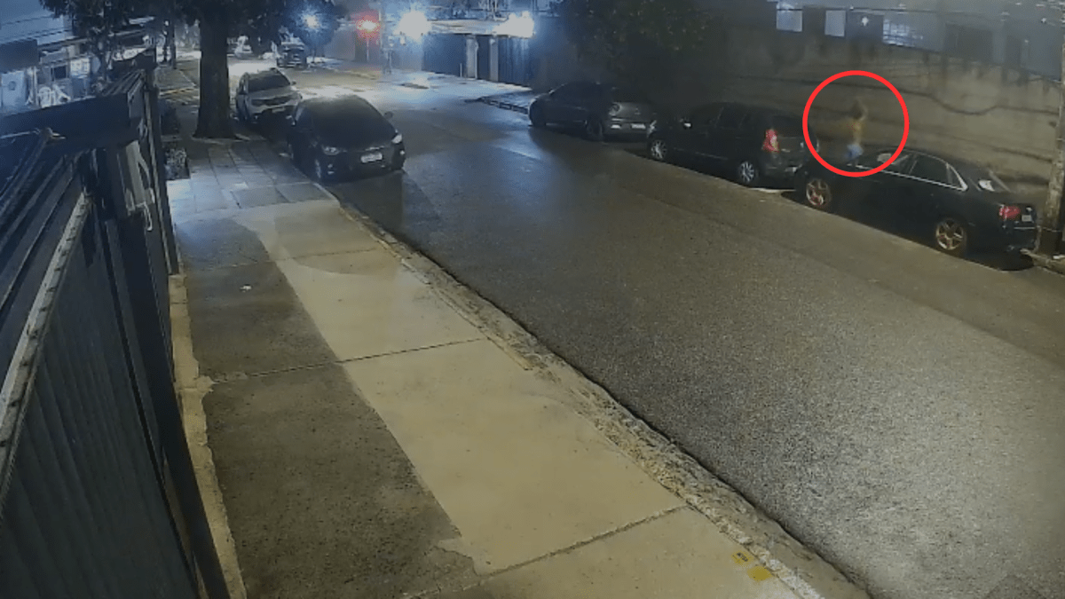 Homem mata capivara a pauladas no Recife; polícia investiga o caso