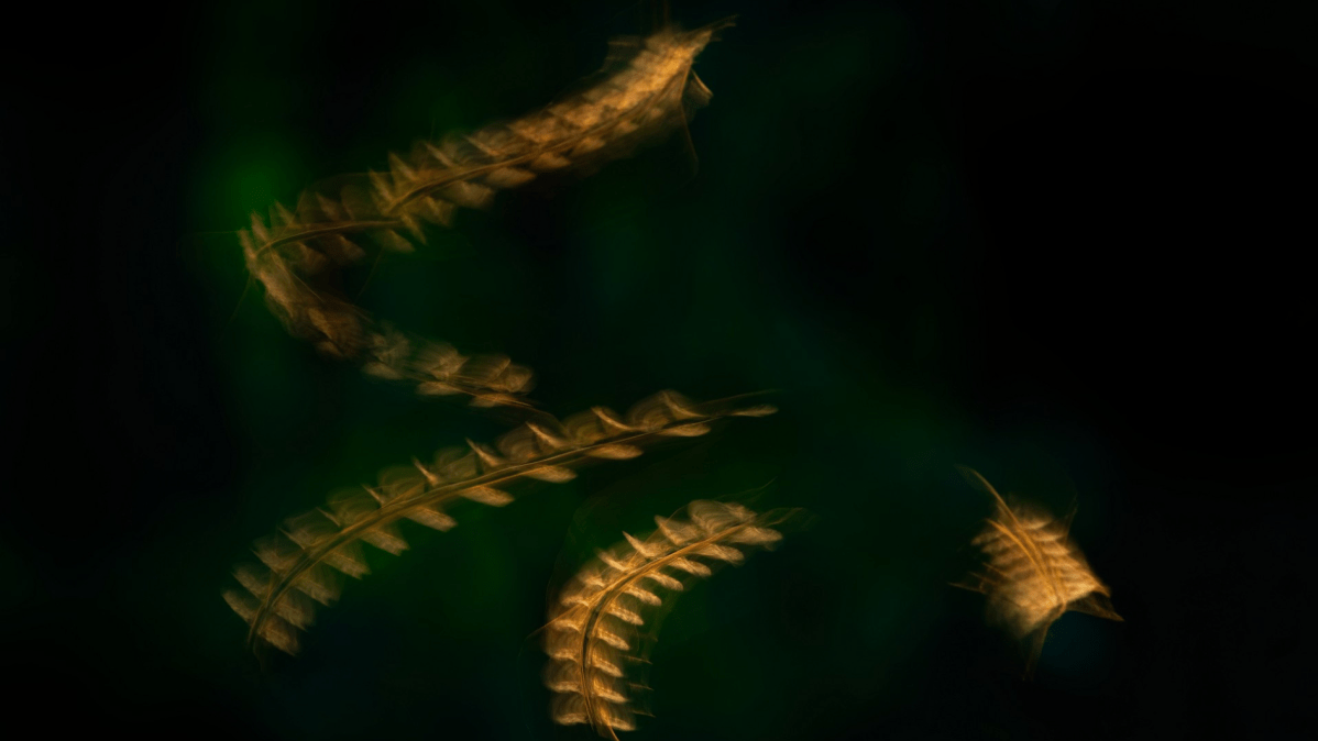 Locais que primeiros humanos viveram na África foram moldados pela malária