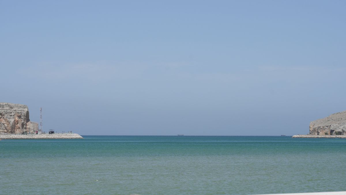 Navio de bandeira japonesa atravessou Estreito de Ormuz, mostram dados