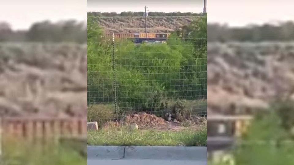 Ao menos seis corpos são encontrados em vagão de trem nos EUA, diz polícia