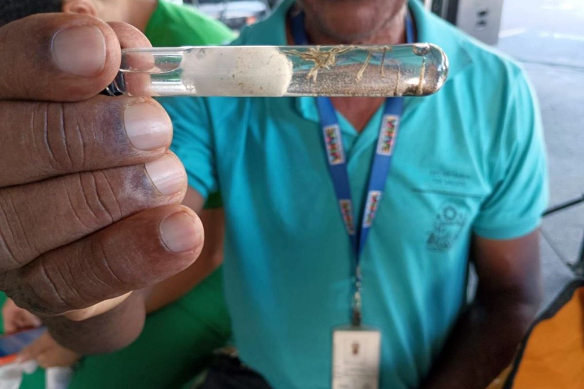 Bahia registra cerca de 8 mil casos prováveis de dengue em 2026