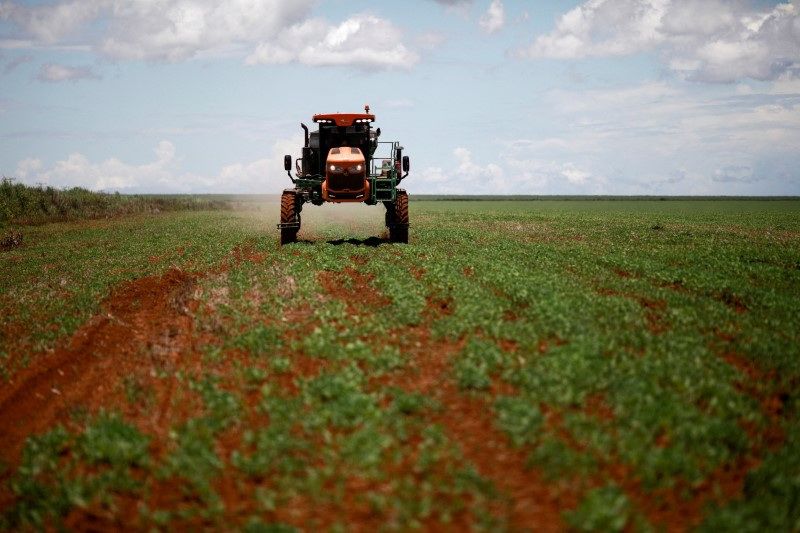 Brazil Potash capta US$ 63,3 milhões para Projeto Autazes, de fertilizantes
