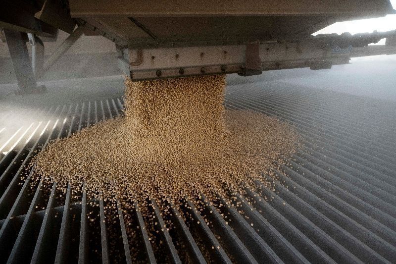 Cadeia de soja e biodiesel cresce quase 12% no PIB brasileiro em 2025