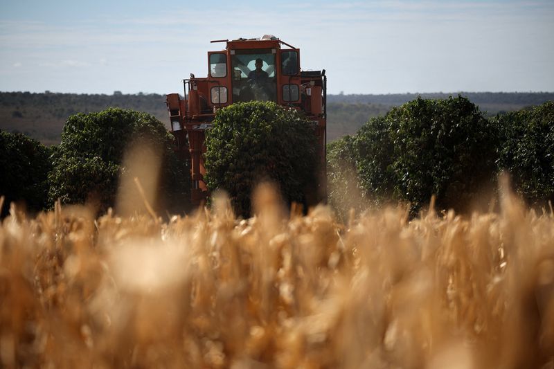 Empresas do agro registram salto na rotatividade de CEOs no Brasil