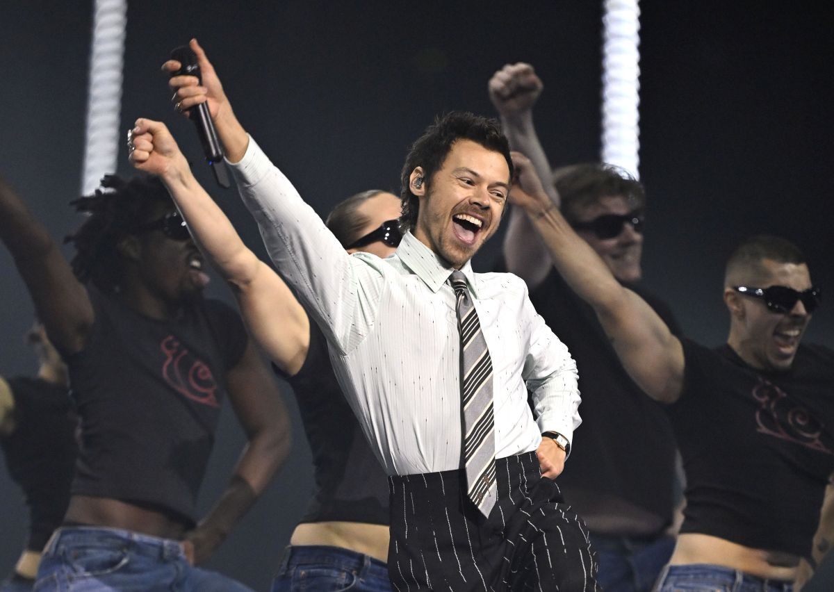 Fãs de Harry Styles reclamam de visão em área VIP; equipe se pronuncia