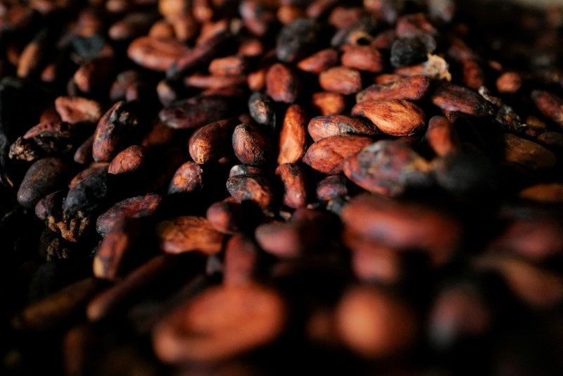 Futuros do cacau sobem 7,28% em NY com preocupações com o clima e oferta
