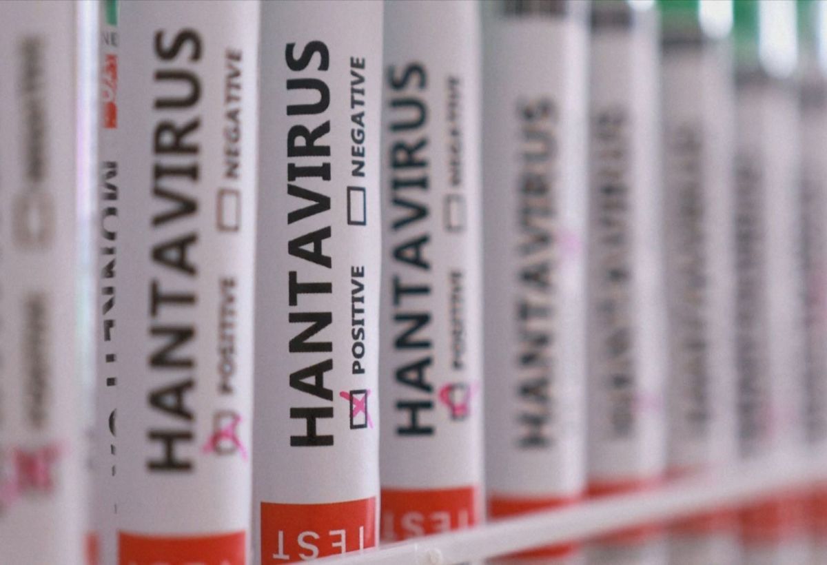 Hantavírus: países adotam protocolos próprios após casos; entenda
