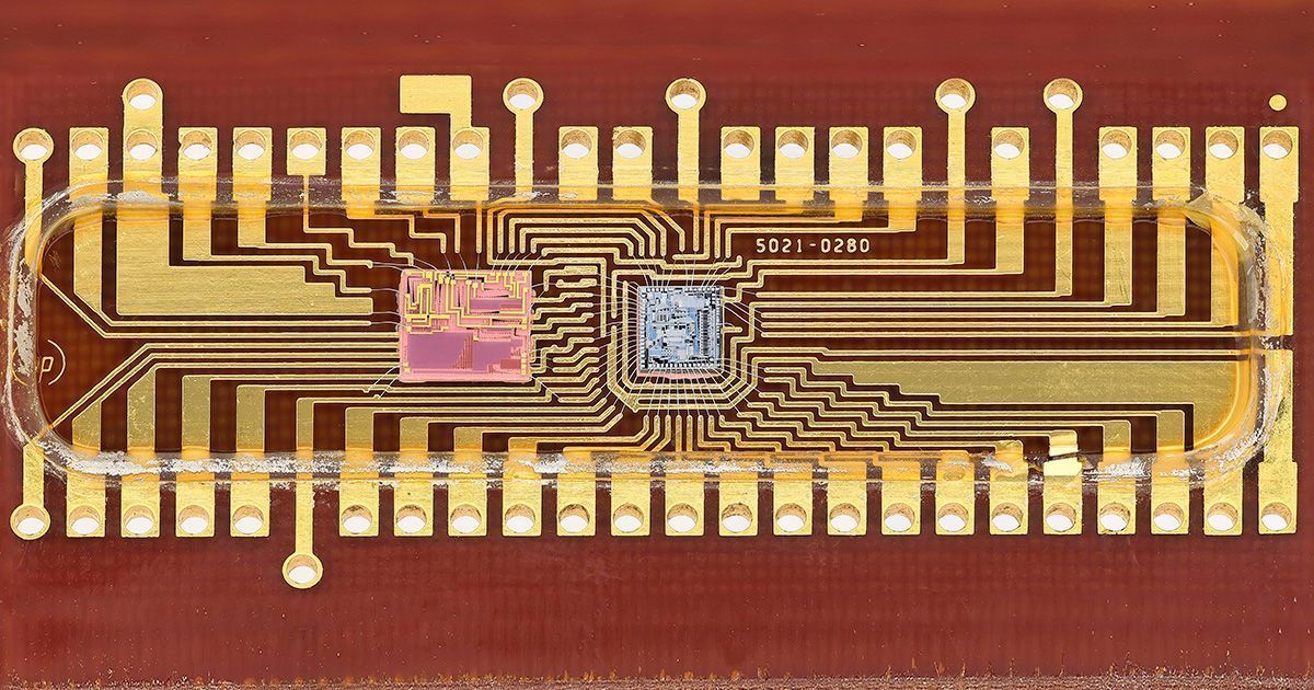 Novo chip agiliza e otimiza exames clínicos em grande escala; entenda