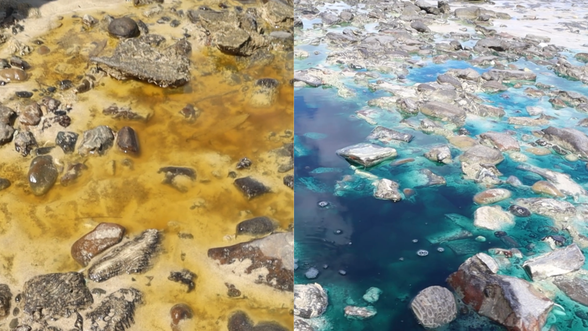 PF investiga manchas coloridas e possível contaminação em praia de Salvador