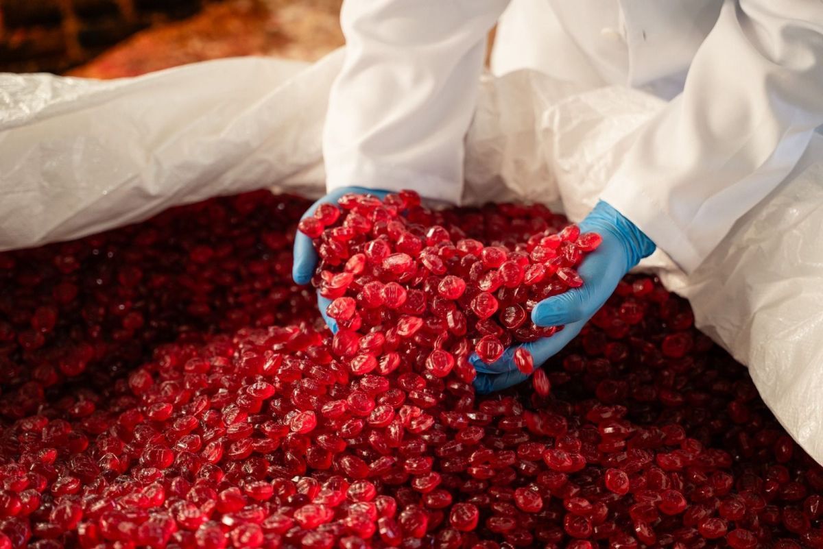 AmbiÁlcool produz etanol a partir de resíduos alimentares
