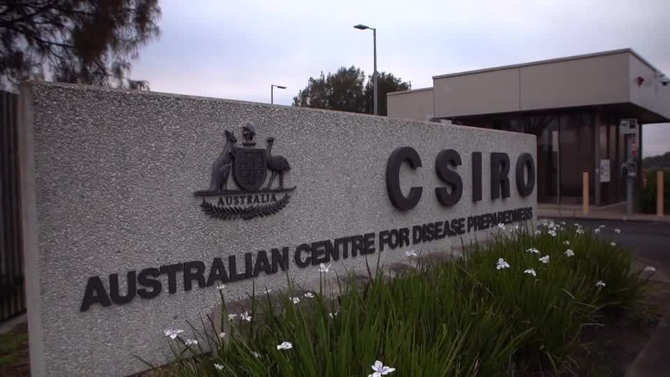 Austrália relata segundo caso de gripe aviária H5N1 em menos de uma semana