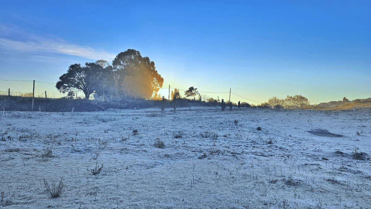 Cidade na serra catarinense registra menor temperatura do ano: -6,7°C
