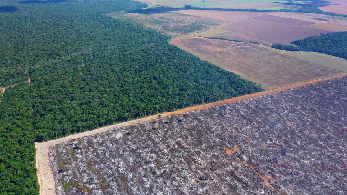 Fazendas da massa falida da Colonizadora Vale do Rio Ferro vão a leilão