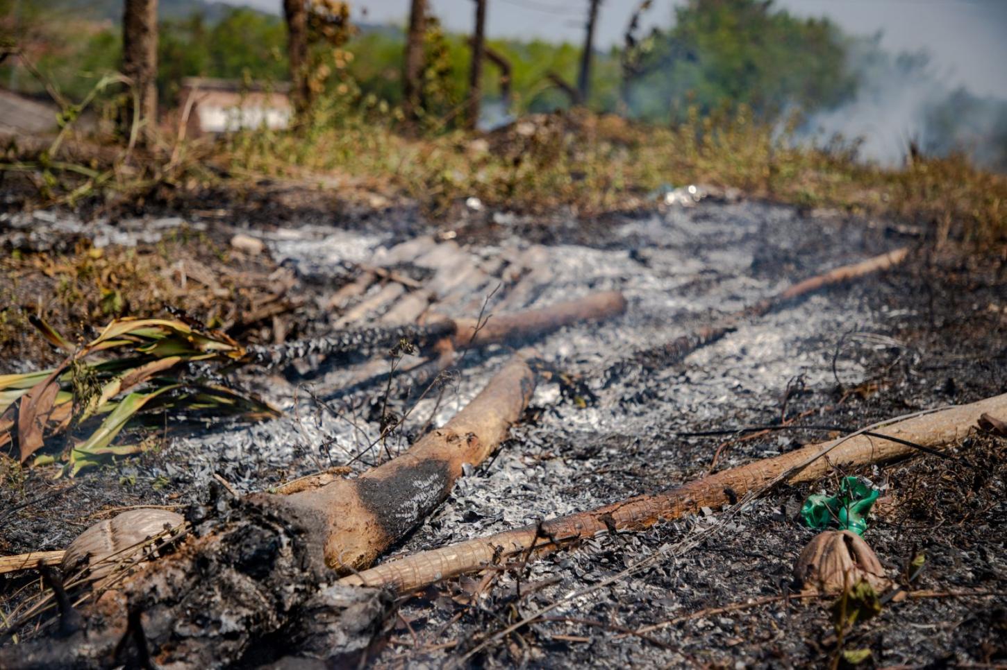 Município intensifica combate às queimadas e amplia ações de conscientização