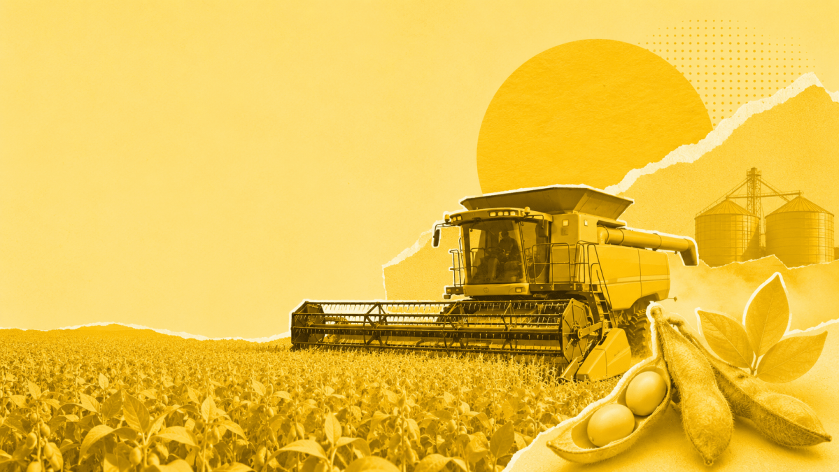 USDA reduz previsão global de soja 2026/27