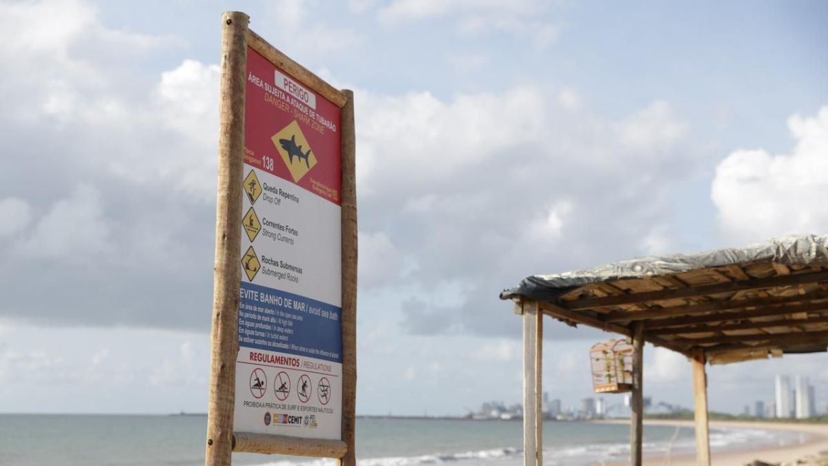 Vítimas de ataques de tubarão estão internadas na UTI em Pernambuco