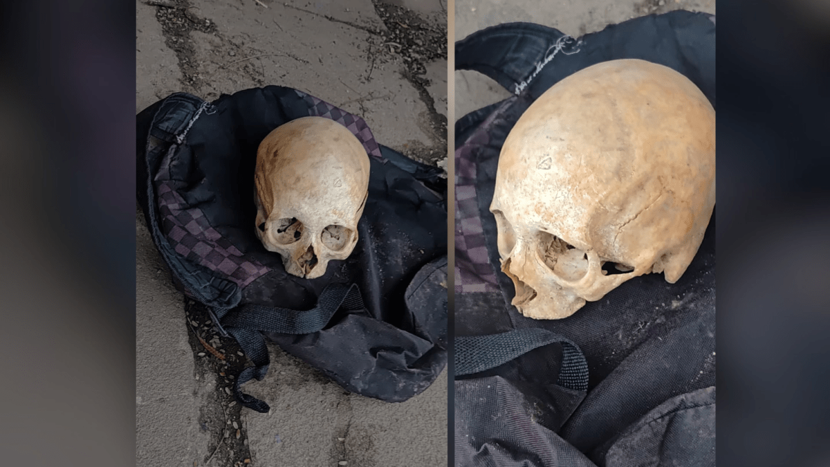 Crânio humano é encontrado em parada de ônibus em São Leopoldo (RS)