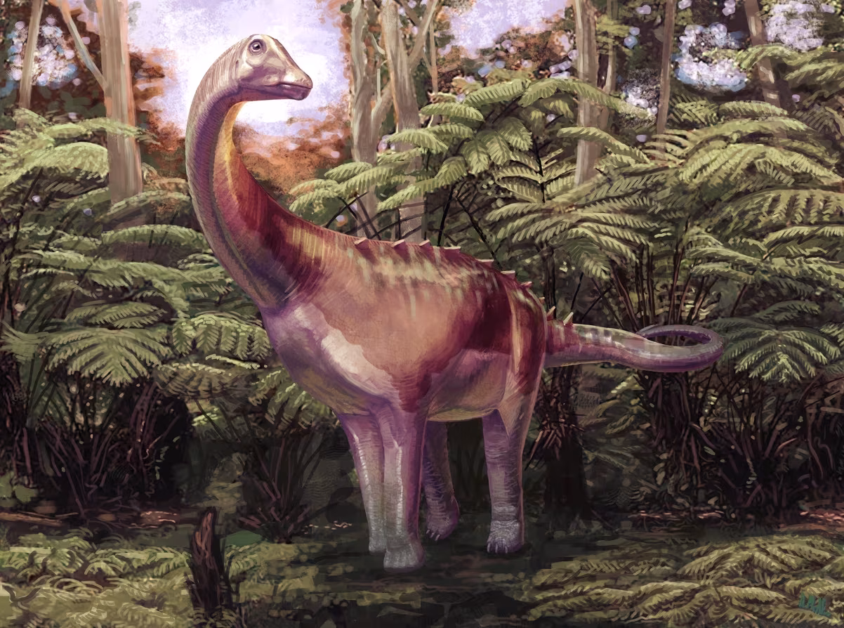 Fóssil esquecido em gaveta revela primeiro osso de dinossauro na Antártida