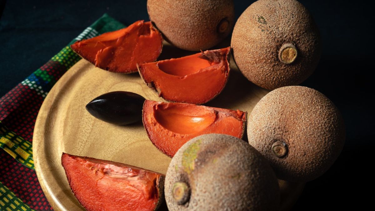 Fruta preta com sabor de chocolate é rica em antioxidantes; entenda
