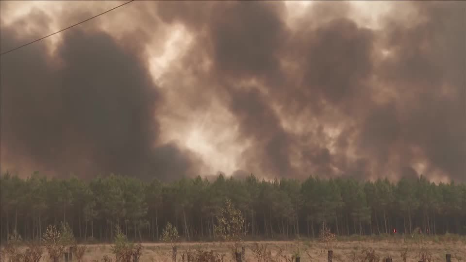Incêndios florestais avançam e ameaçam Bordeaux, na França