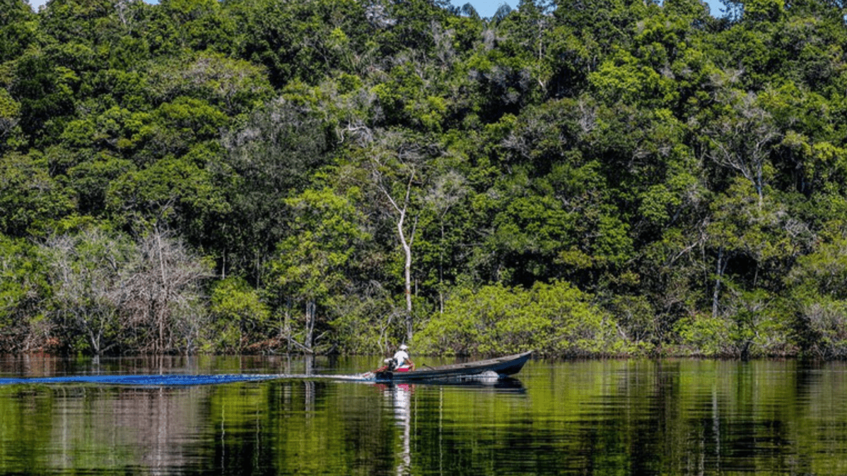 Inpe: Amazônia tem menor nível de desmatamento no 1º semestre em dez anos