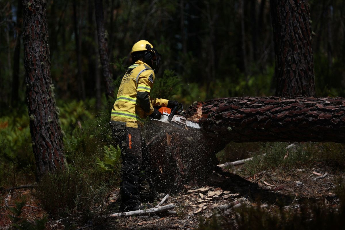 Portugal pede apoio alerta para aumento de incêndios florestais