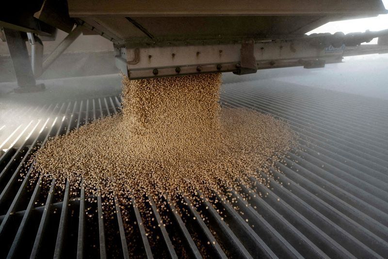 Soja: Brasil exportou 13,83 milhões de toneladas em junho, aponta Anec