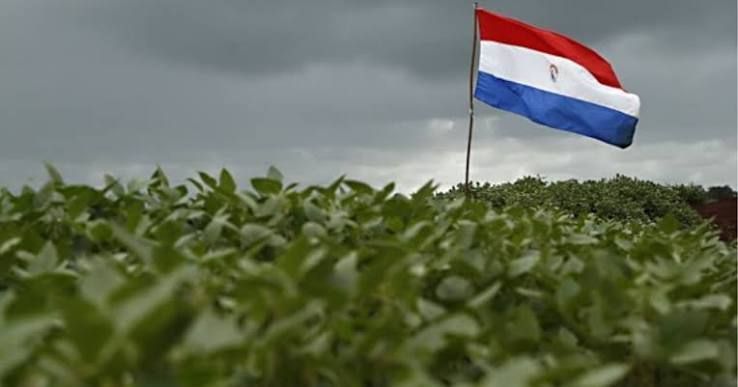 Soja do Paraguai caminha para safra recorde, enquanto clima pressiona milho