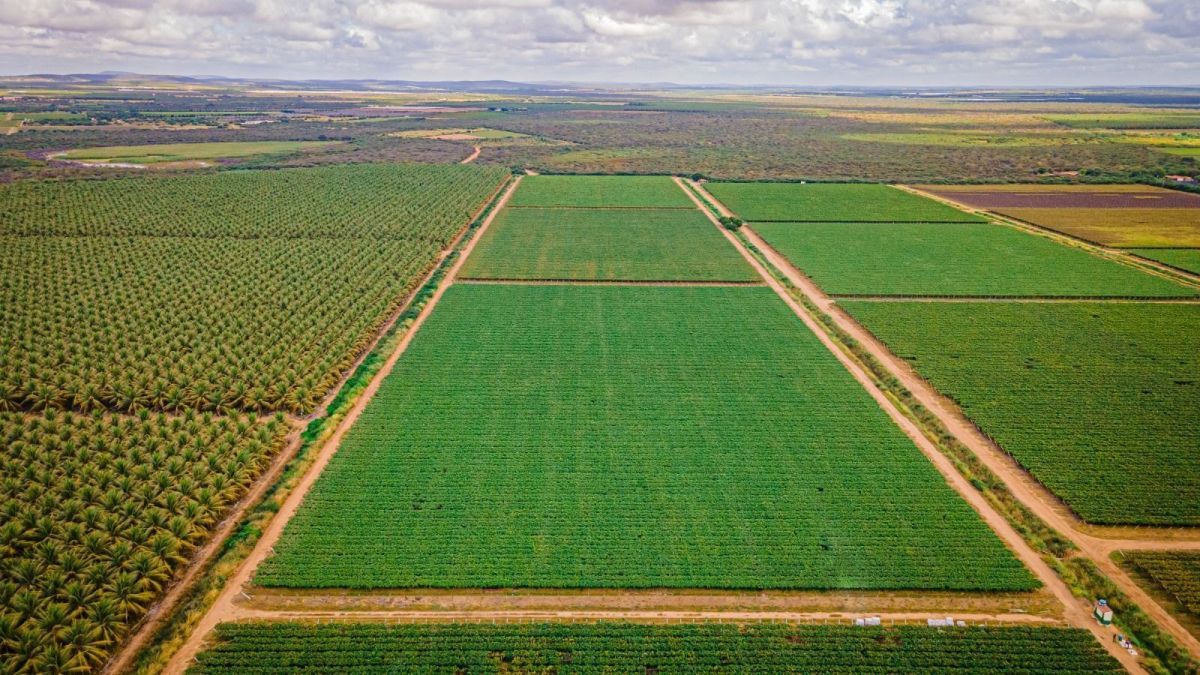 Terra Santa avalia perda de 2 mil hectares em disputa judicial