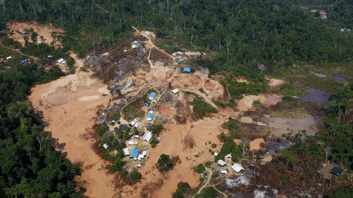 Amazonas tem maior número de terras indígenas sob pressão do desmatamento