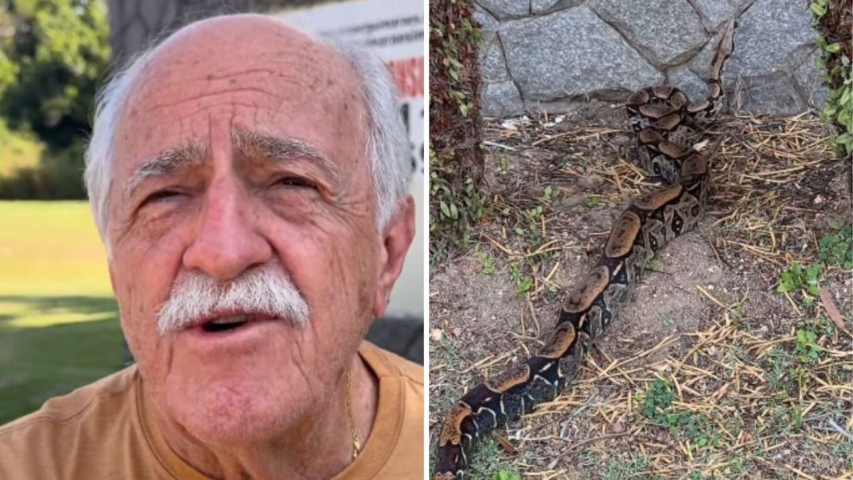 Ary Fontoura encontra jiboia em sua casa no Rio: “Visita inesperada”