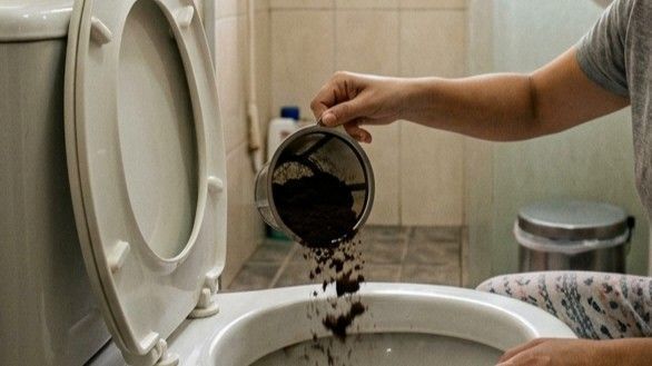 Borra de café no vaso sanitário realmente elimina odores? Entenda